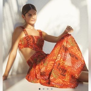 NWT Sheer Cutout Dress